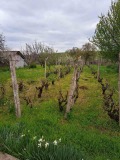 Продава КЪЩА, област Видин, с. Жеглица • 42000 € / 82144.86 лв. • 73242204 8