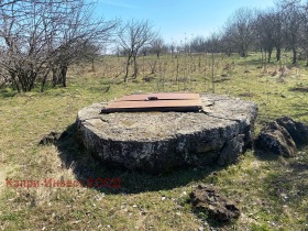 Hus Granichar, region Dobrich 2
