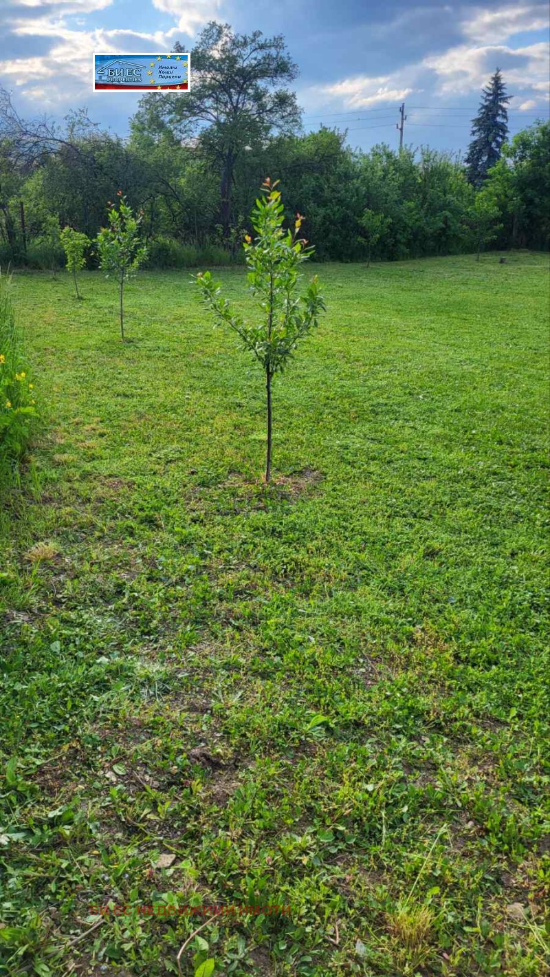 Продава КЪЩА, гр. Радомир, област Перник, снимка 10 - Къщи - 52103195