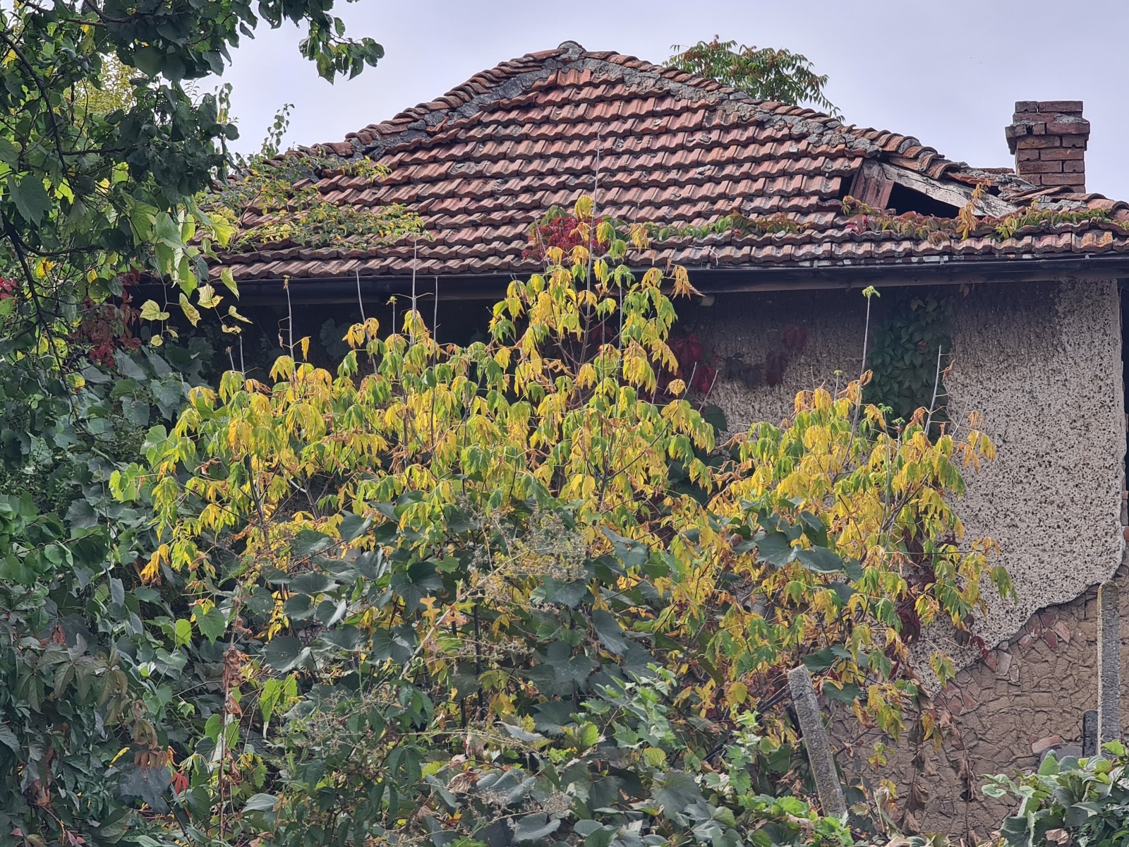 ������� ���� | Imot.bg � ����������� 6