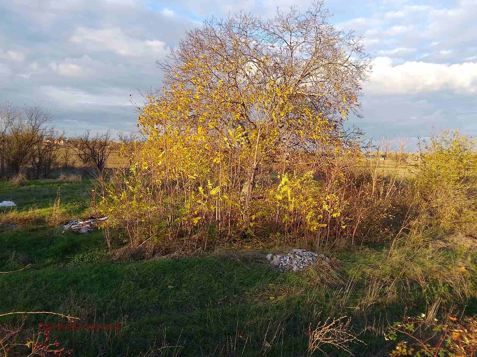 ������� ������ | Imot.bg � ����������� 3