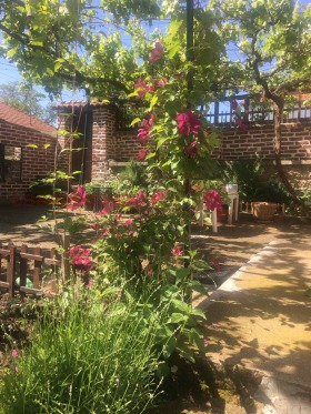 ������� ���� | Imot.bg � ����� ������ 10