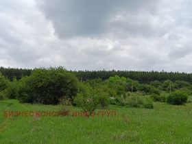 Плот Костинброд, регион Софиа