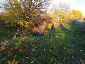 ������� ������ | Imot.bg � ����� ������ 6