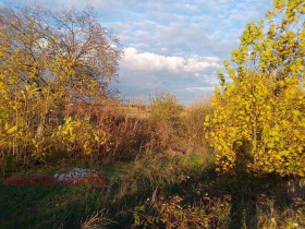 ������� ������ | Imot.bg � ����� ������ 2