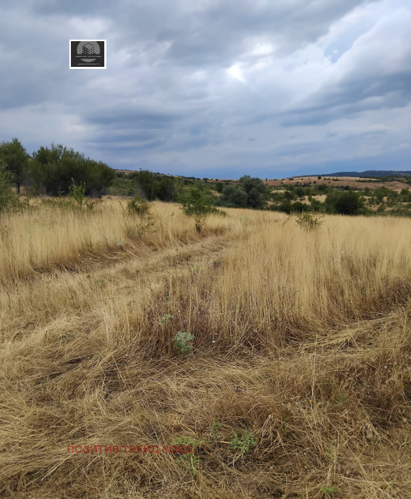 Προς πώληση  Οικόπεδο περιοχή Κιουστεντίλ , Πηπερεβο , 6000 τ.μ | 31777240 - εικόνα [2]