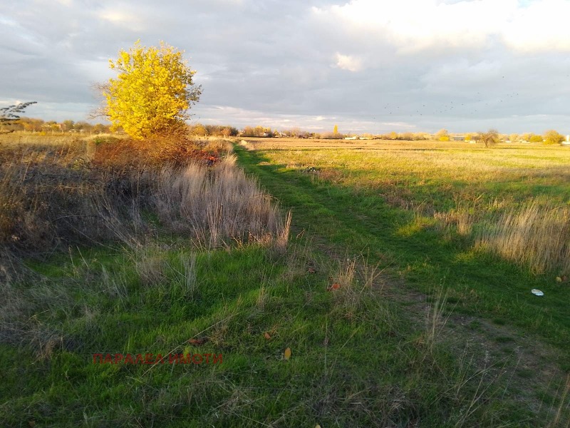 Продава ПАРЦЕЛ, с. Ягодово, област Пловдив, снимка 4 - Парцели - 53433602