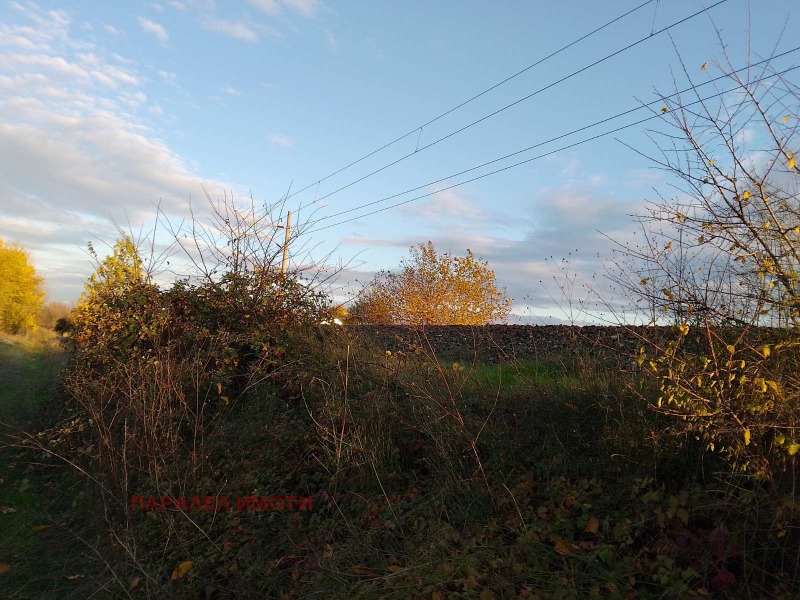 Продава ПАРЦЕЛ, с. Ягодово, област Пловдив, снимка 6 - Парцели - 53433602