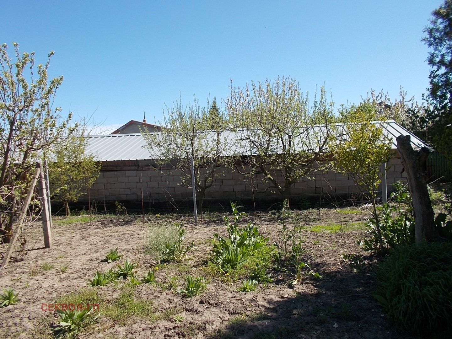 Продава КЪЩА, с. Плачидол, област Добрич, снимка 4 - Къщи - 55247476