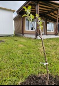 Продава КЪЩА, гр. Бургас, Банево, снимка 3