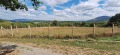 Продава ПАРЦЕЛ, област Велико Търново, гр. Елена • 35000 € • 65063788 — Holmes.bg
