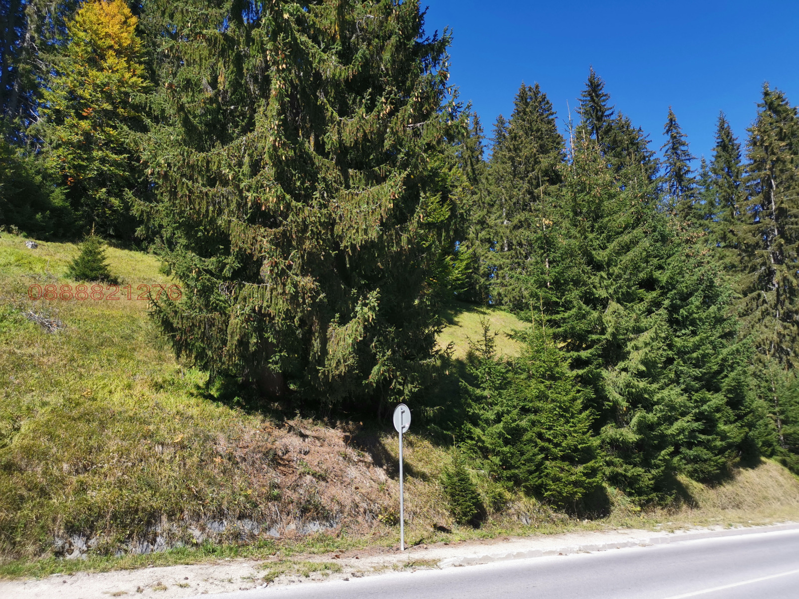 ������� ������ | Imot.bg � ����������� 2