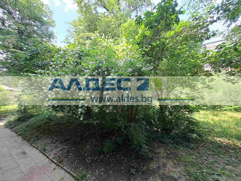 For Sale  2 bedroom Sofia , Lozenets , 99 sq.m | 74797647 - image [16]