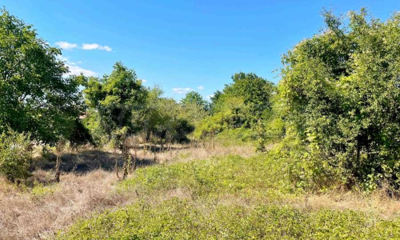 Продава ПАРЦЕЛ, област Варна, с. Зорница • 45000 € / 88012.35 лв. • 39950590 1