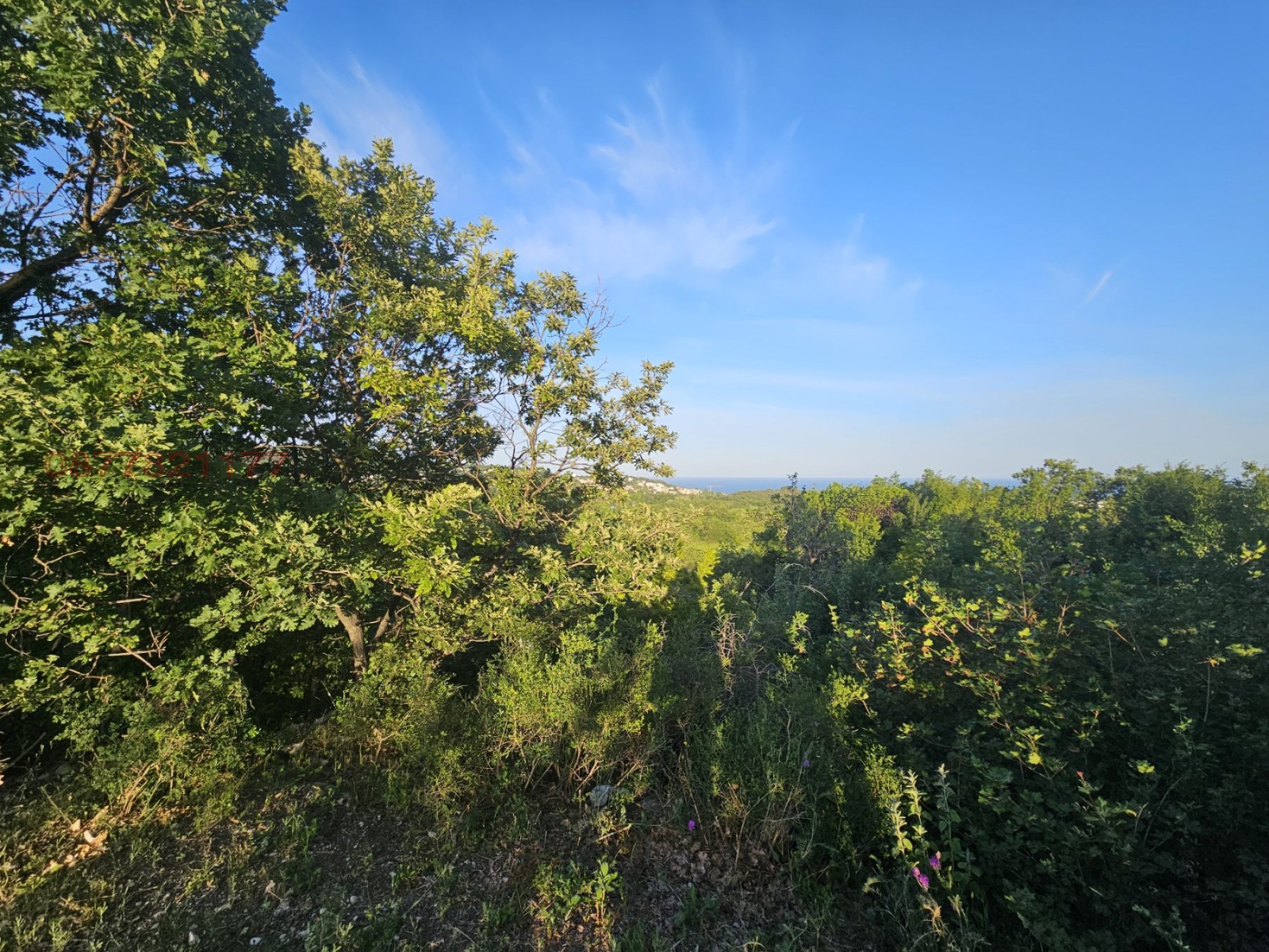 ������� ������ | Imot.bg � ����������� 3