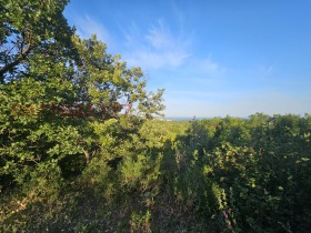 ������� ������ | Imot.bg � ����� ������ 3