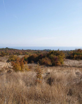 ������� ������ | Imot.bg � ����� ������ 5