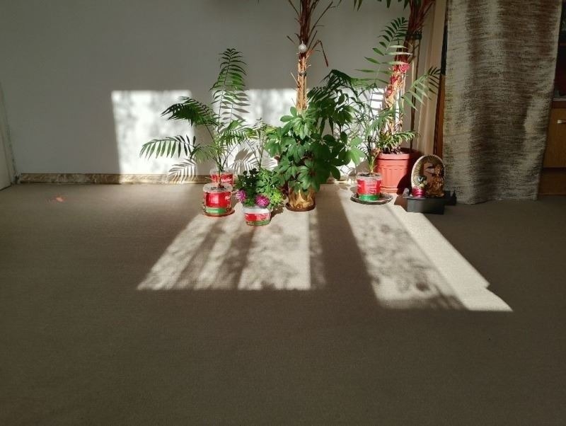 ������� 2-����� | Imot.bg � ����������� 14