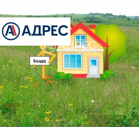 ������ ������� ����