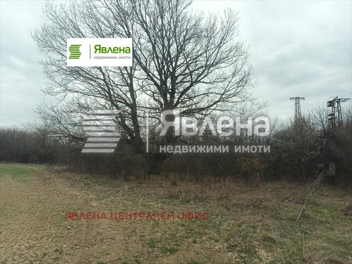 Продава ПАРЦЕЛ, с. Джурово, област София област, снимка 2 - Парцели - 54715575