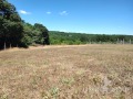 Продава ПАРЦЕЛ, град Варна, в.з.Звездица • 66000 € • 82221700 — Holmes.bg