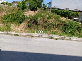 Plott Bolnitsata, Sjumen