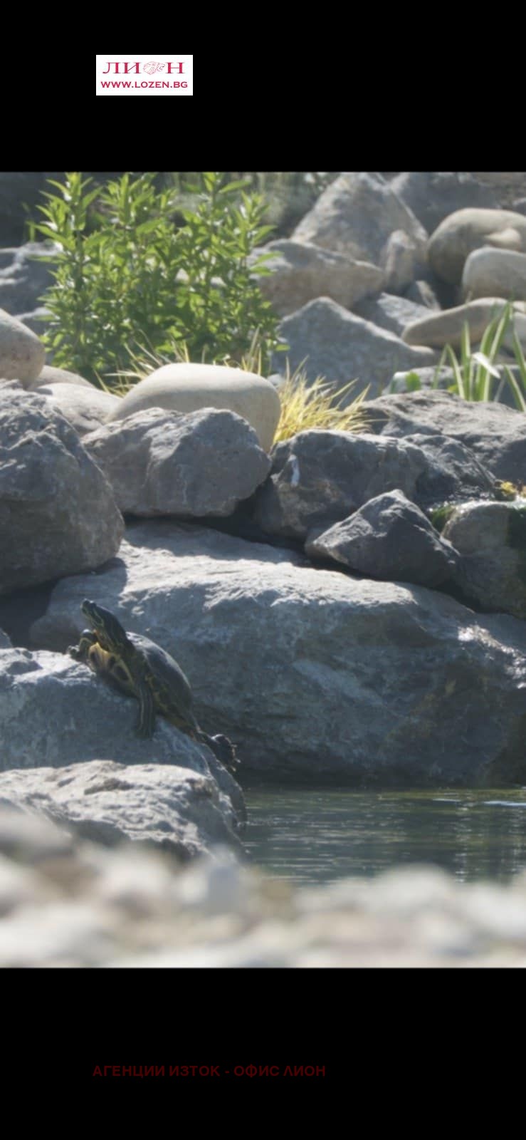 De vânzare  Casa Sofia , Lozen , 482 mp | 23146670 - imagine [9]