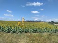 Продава ПАРЦЕЛ, област София, с. Алдомировци • 209500 € • 83441311 — Holmes.bg