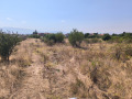 Продава  Парцел град София , с. Доброславци , 1000 кв.м | 85393586 - изображение [7]
