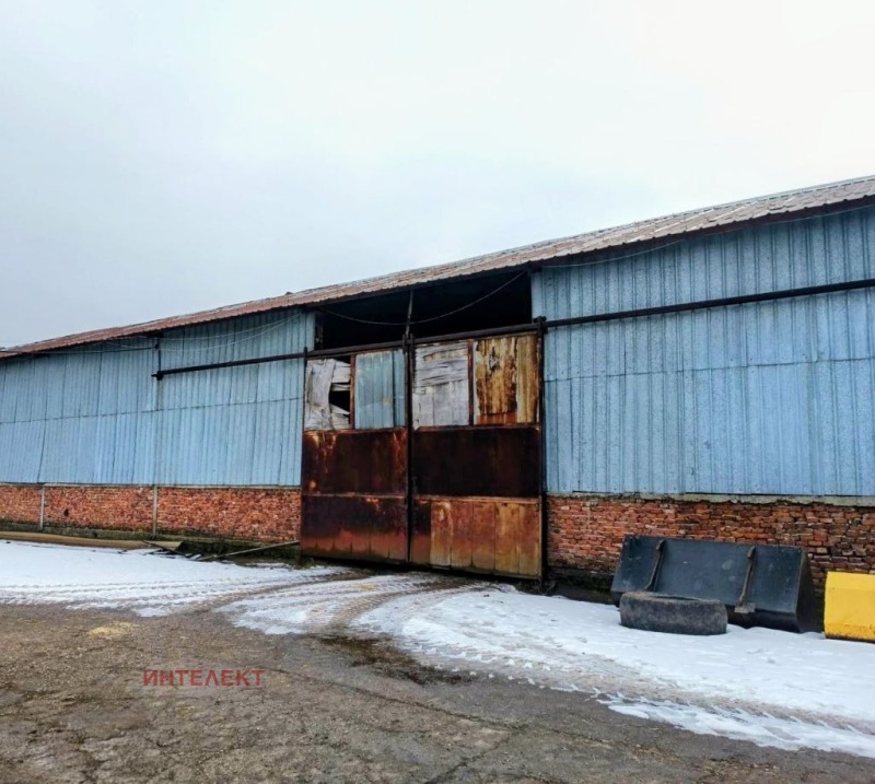 Продава ПРОМ. ПОМЕЩЕНИЕ в област Перник, с. Стефаново - 3370 кв.м / 250 001 € » 488 959.46 лв., ИНТЕЛЕКТ