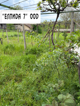 ������� ���� | Imot.bg � ����� ������ 4