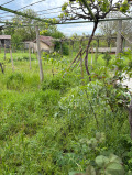 Продава КЪЩА, с. Горни Дъбник, област Плевен, снимка 4