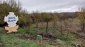 Продава ПАРЦЕЛ, с. Ракево, област Враца, снимка 3
