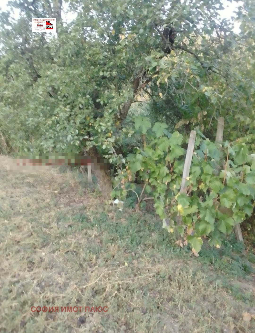 ������� ���� | Imot.bg � ����������� 5