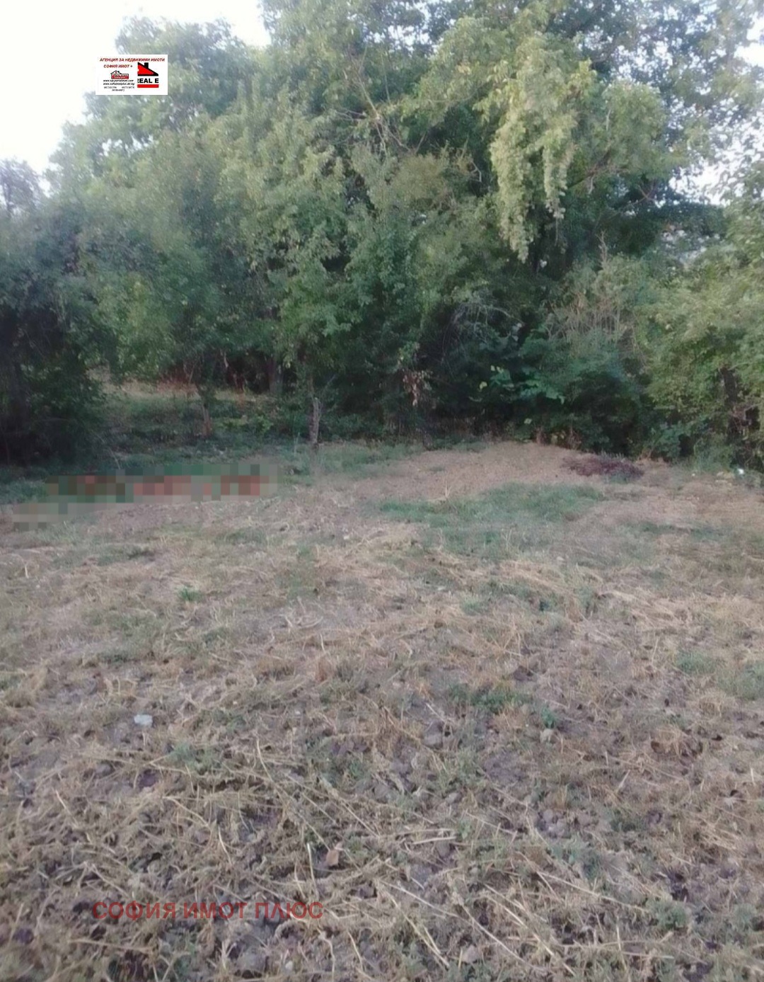 Продава КЪЩА, с. Граница, област Кюстендил, снимка 15 - Къщи - 53618482