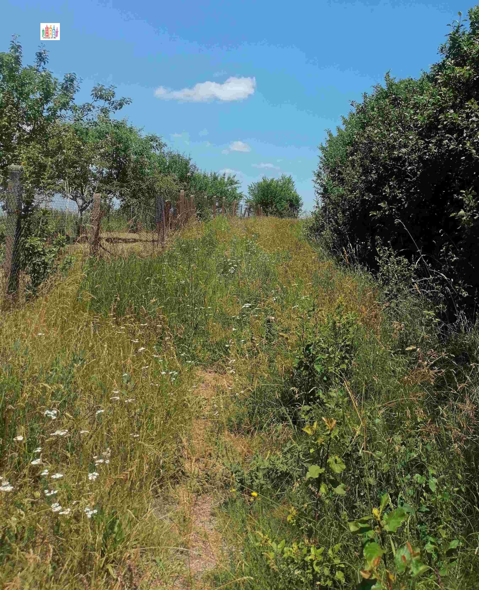 Продава ПАРЦЕЛ, с. Богданов дол, област Перник, снимка 2 - Парцели - 53704315