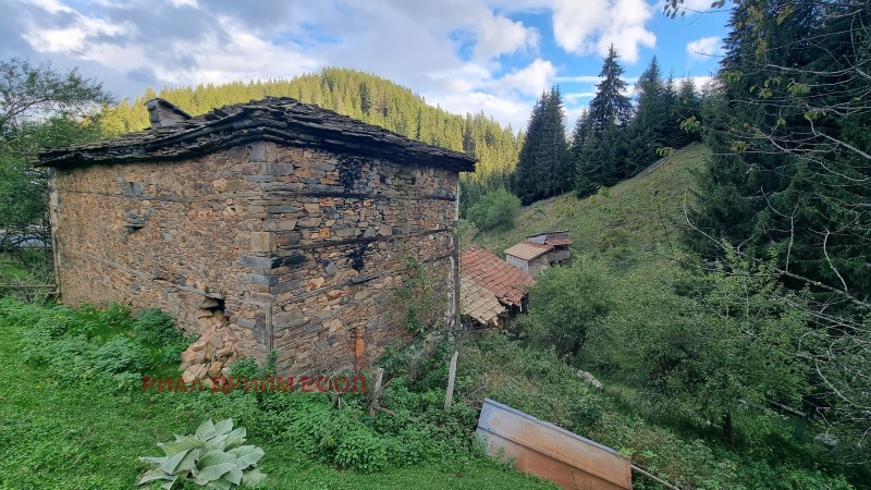 Til salg  Hus region Smolyan , Stojkite , 270 kvm | 15504646 - billede [16]