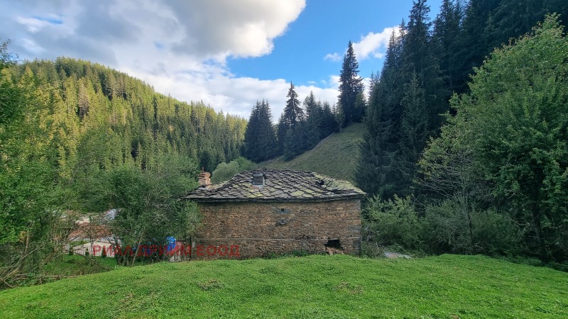 Til salg  Hus region Smolyan , Stojkite , 270 kvm | 15504646 - billede [17]