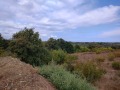 Продава ЗЕМЕДЕЛСКА ЗЕМЯ, гр. Царево, област Бургас, снимка 9