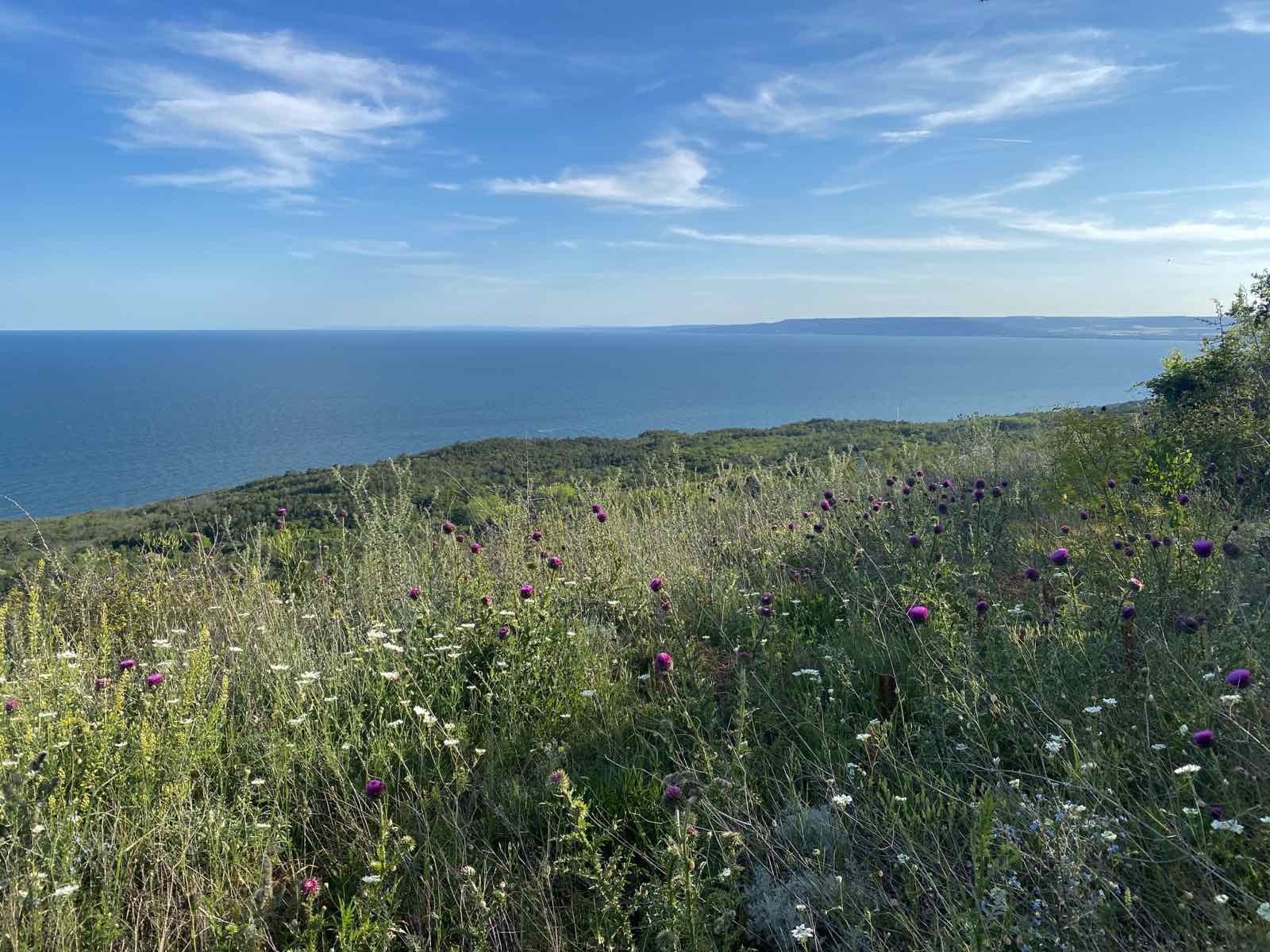 Продава КЪЩА | Imot.bg — изображение 9