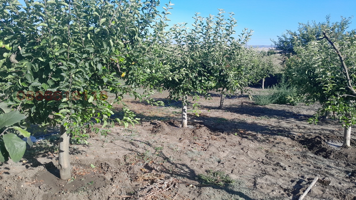 ������� ���� | Imot.bg � ����������� 15