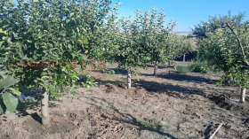 ������� ���� | Imot.bg � ����� ������ 15