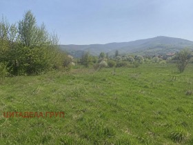 ����� ������� ������,���� �����, �. ���������