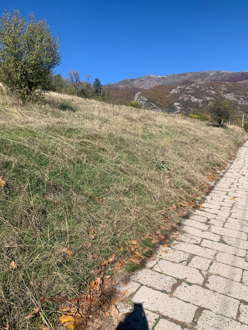 Продава ПАРЦЕЛ, гр. Карлово, област Пловдив, снимка 9 - Парцели - 52560611