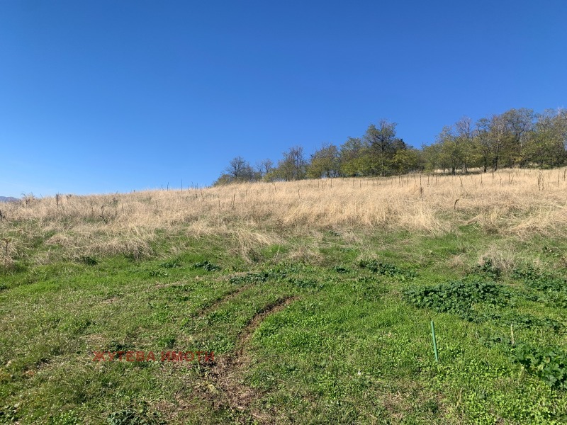 Продава ПАРЦЕЛ, гр. Карлово, област Пловдив, снимка 7 - Парцели - 52560611