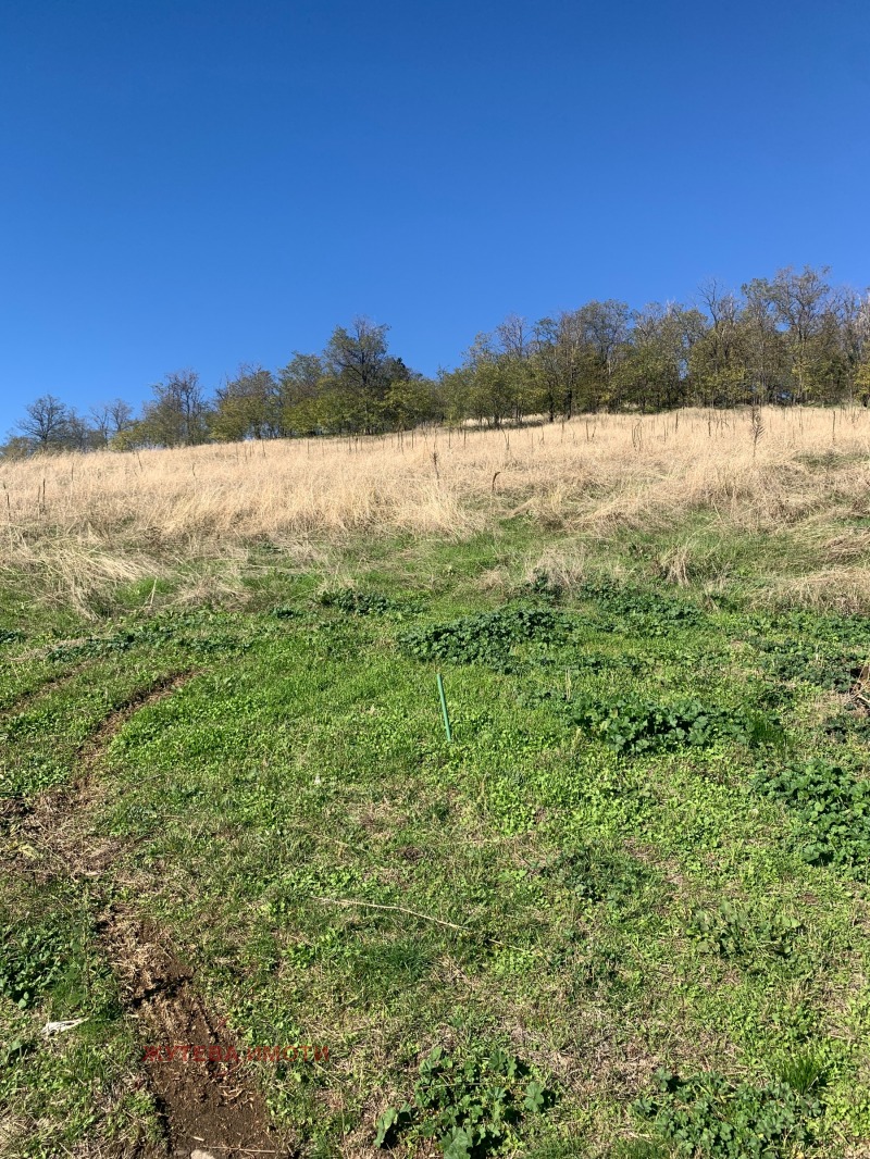 Продава ПАРЦЕЛ, гр. Карлово, област Пловдив, снимка 5 - Парцели - 52560611