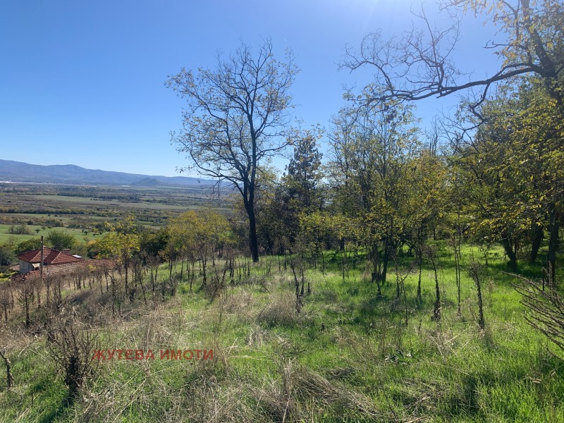 Продава ПАРЦЕЛ, гр. Карлово, област Пловдив, снимка 2 - Парцели - 52560611