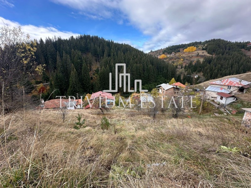 Продава ПАРЦЕЛ, с. Стойките, област Смолян, снимка 3 - Парцели - 52622426