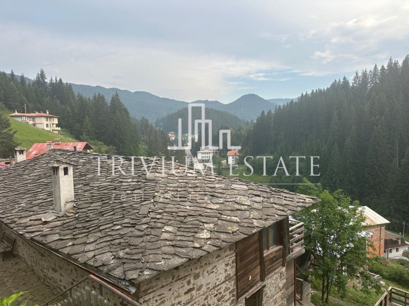 Продава ПАРЦЕЛ, с. Стойките, област Смолян, снимка 2 - Парцели - 52622426