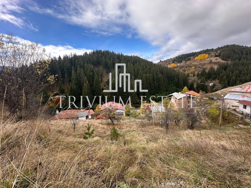 Продава ПАРЦЕЛ, област Смолян, с. Стойките • 75600 € / 147860.75 лв. • 78328553 1